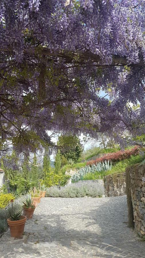 Ancient Estate "Il Trignano" Villa Vietri Exterior foto