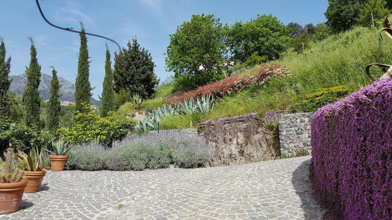 Ancient Estate "Il Trignano" Villa Vietri Exterior foto