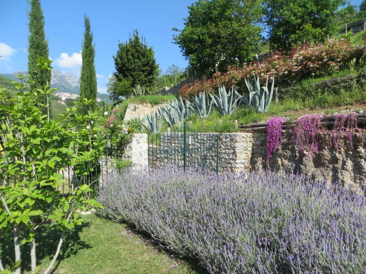 Ancient Estate "Il Trignano" Villa Vietri Exterior foto